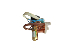 4 Yollu Vana- Dunan DSF-4 BDGP20D0722.02MD